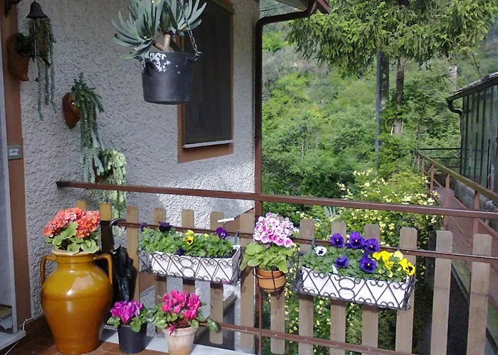 La Margherita Di Teriasca