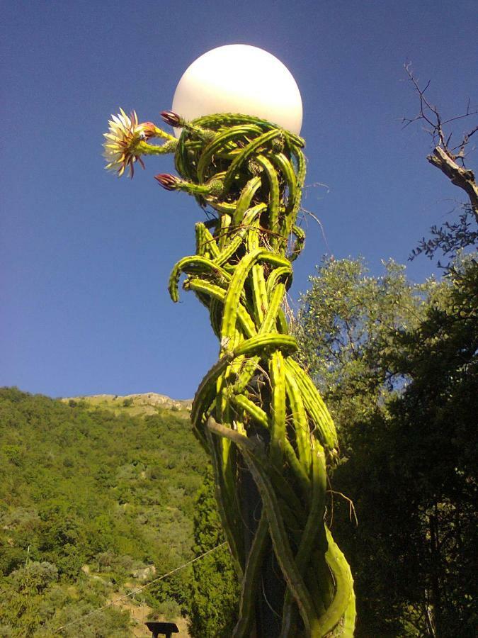 La Margherita Di Teriasca